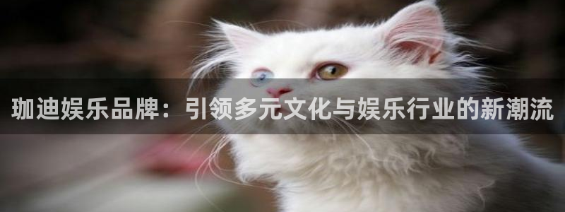 奇亿娱乐