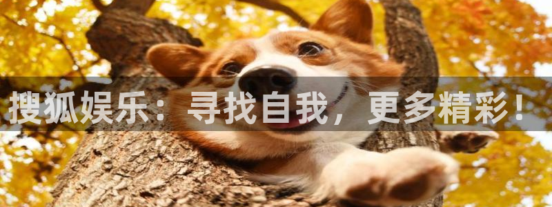 奇亿娱乐app